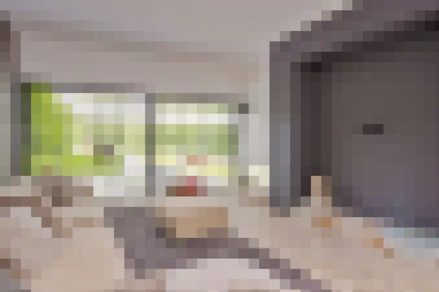 Oude Terborgseweg 249 Doetinchem thumbnail 10