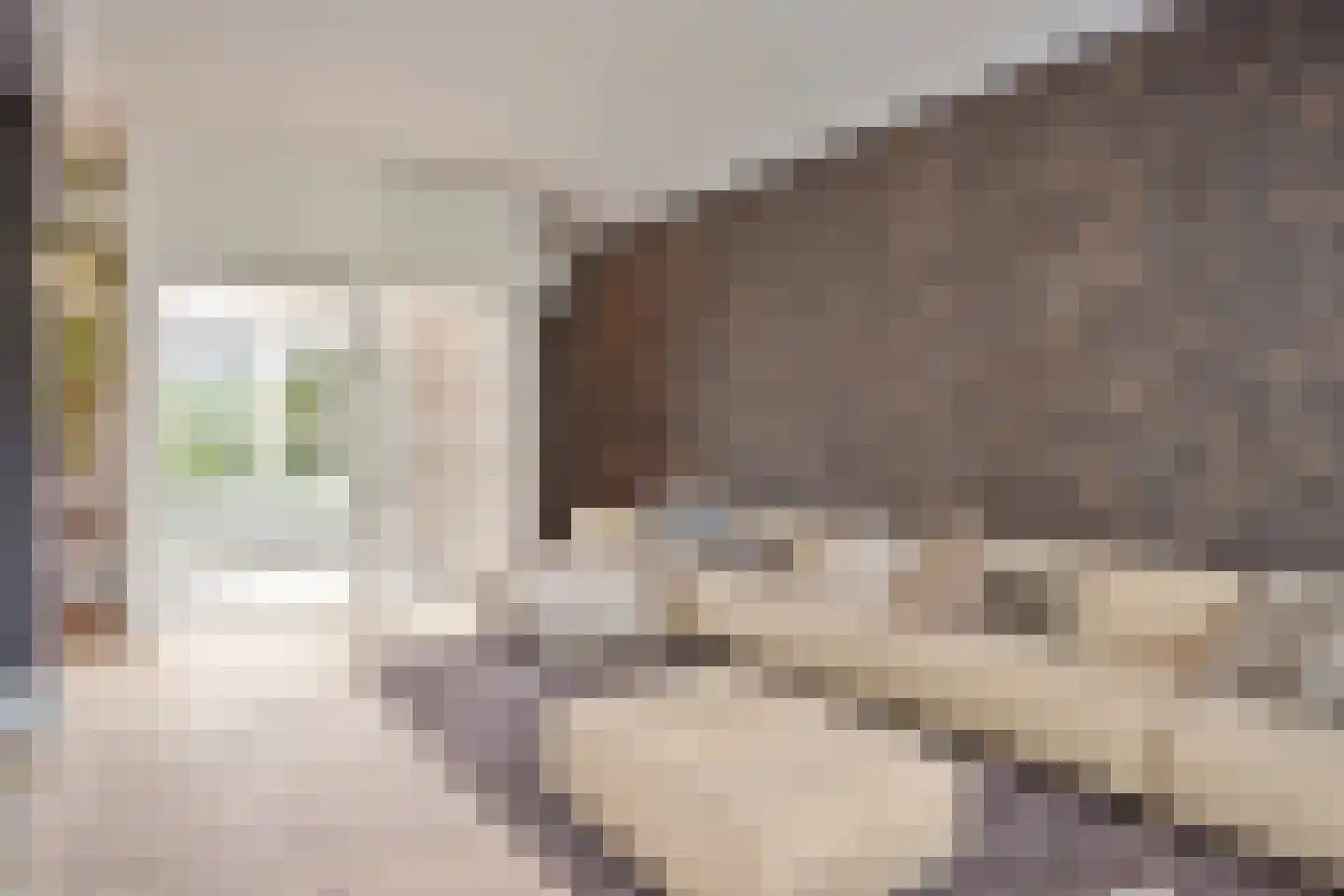 Oude Terborgseweg 249 Doetinchem thumbnail 11