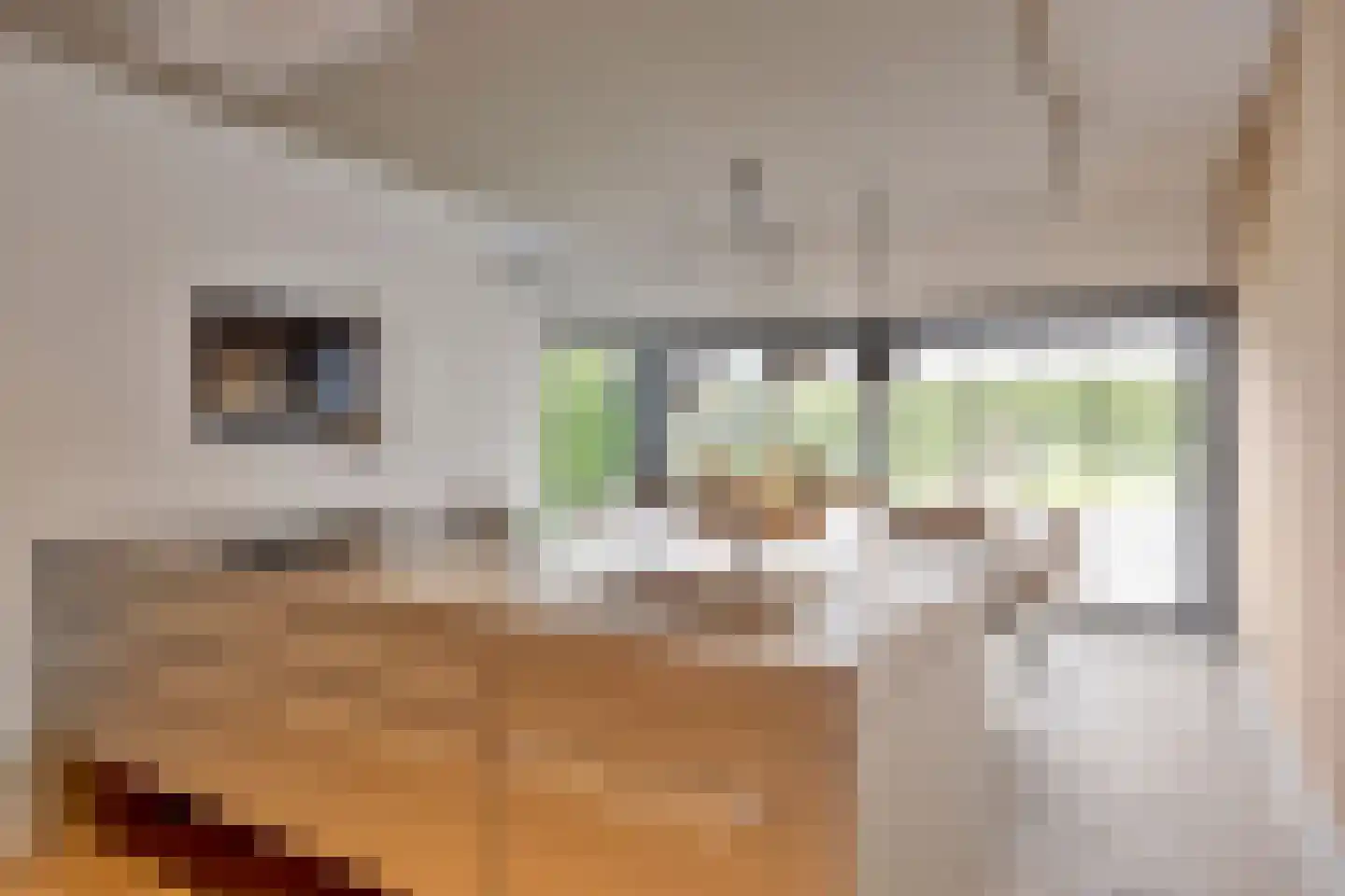 Oude Terborgseweg 249 Doetinchem thumbnail 20