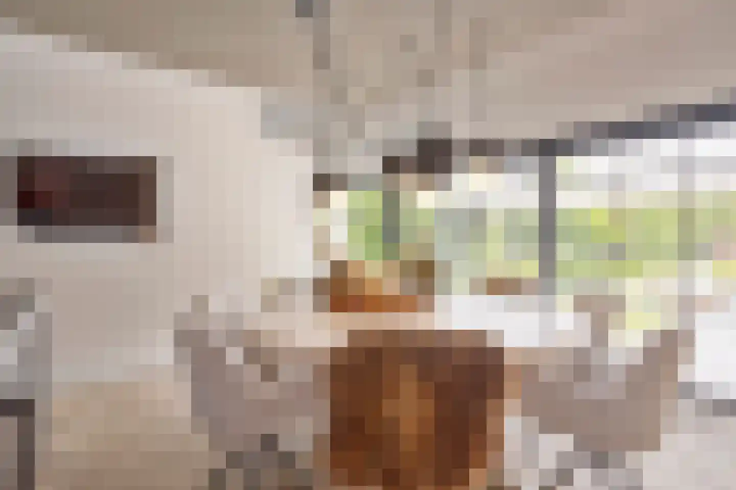Oude Terborgseweg 249 Doetinchem thumbnail 22