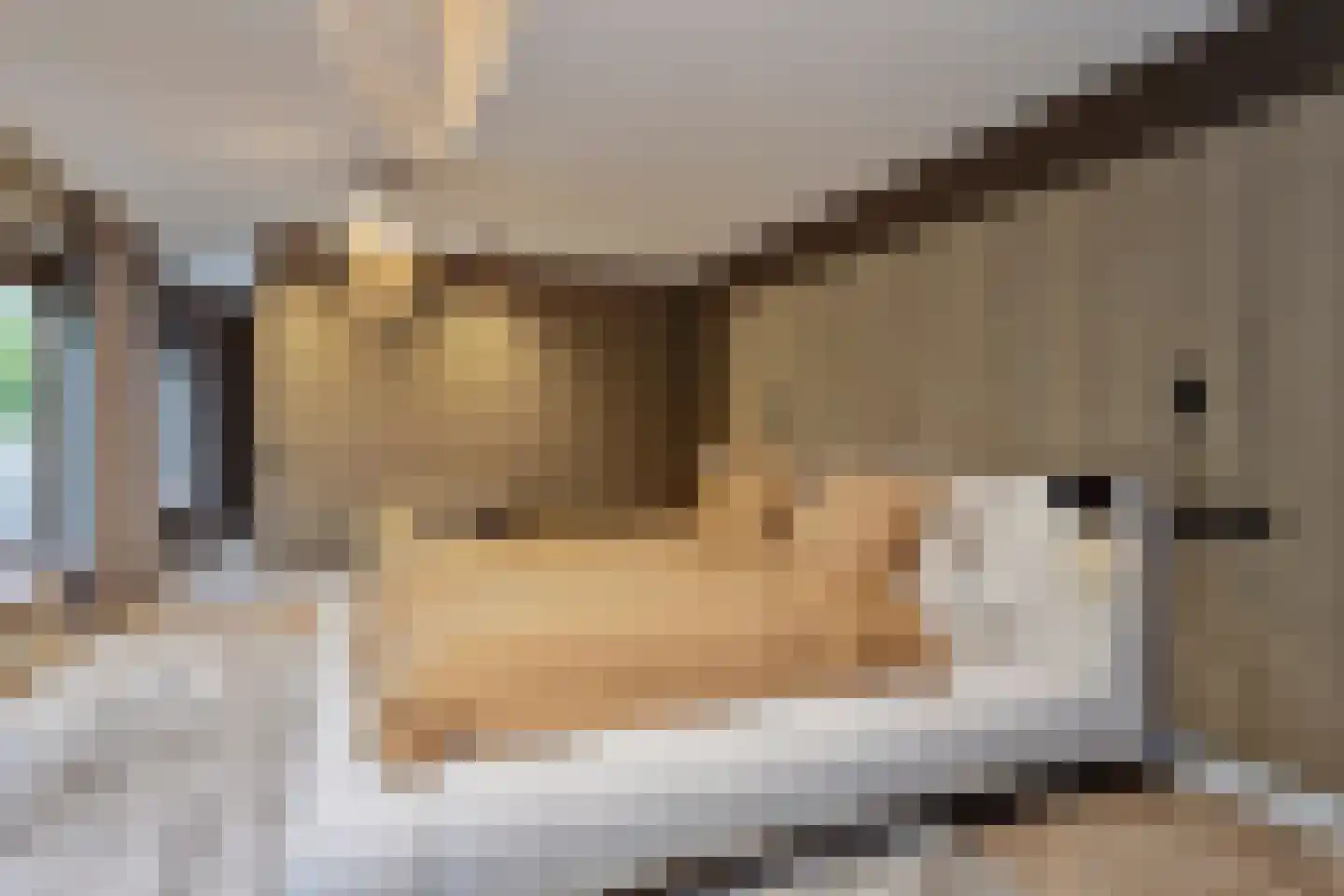 Oude Terborgseweg 249 Doetinchem thumbnail 33