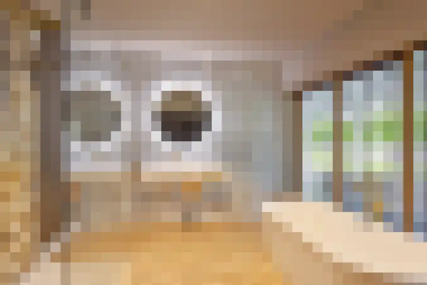 Oude Terborgseweg 249 Doetinchem thumbnail 4