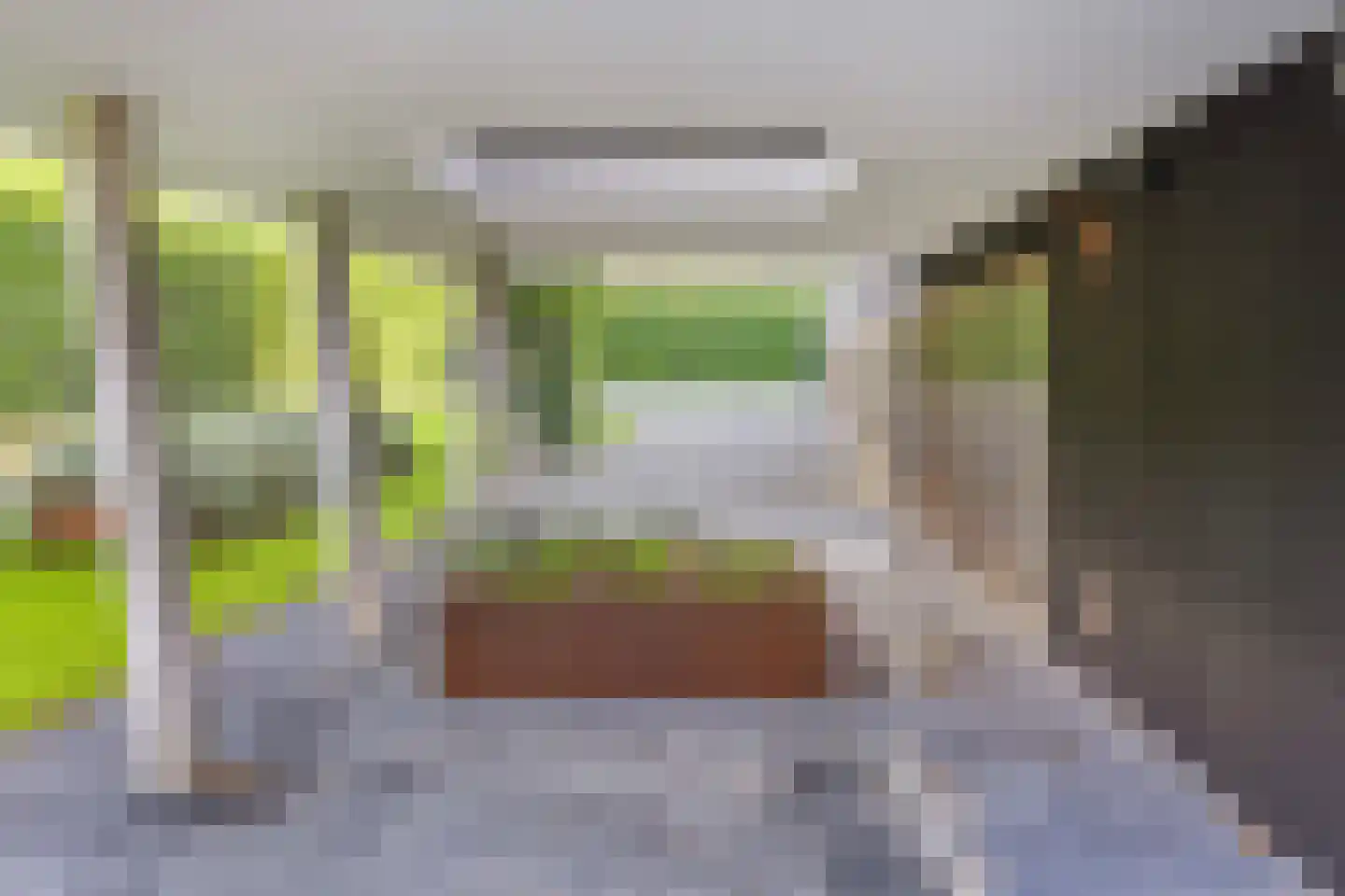 Oude Terborgseweg 249 Doetinchem thumbnail 52