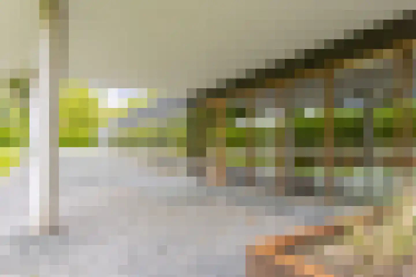 Oude Terborgseweg 249 Doetinchem thumbnail 8