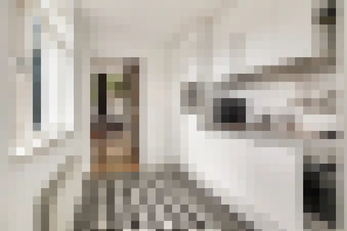 Oude Terheijdenseweg 118 Breda thumbnail 11