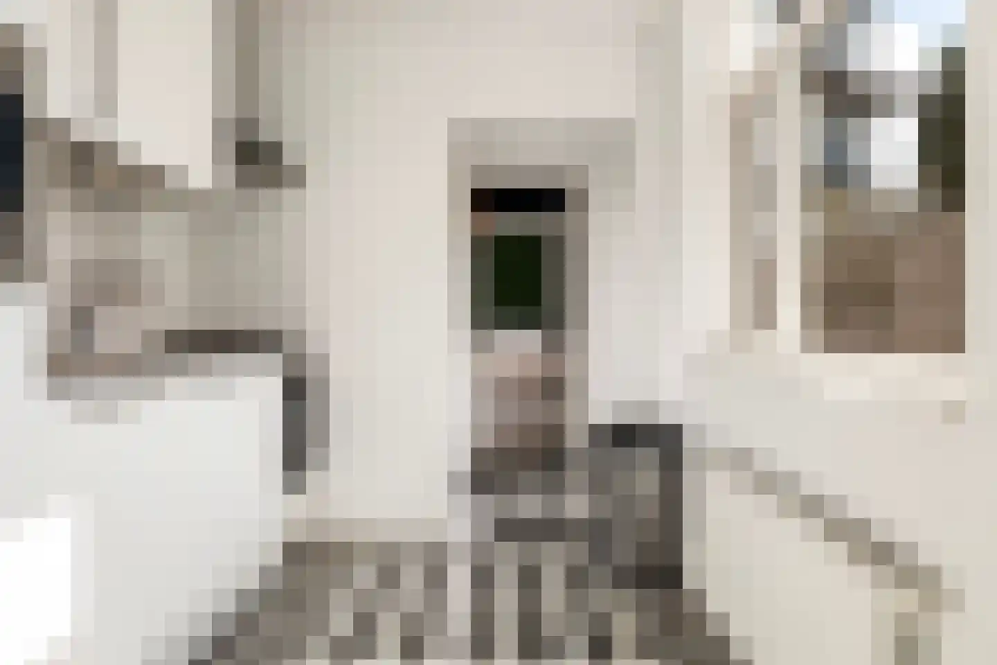 Oude Terheijdenseweg 118 Breda thumbnail 13