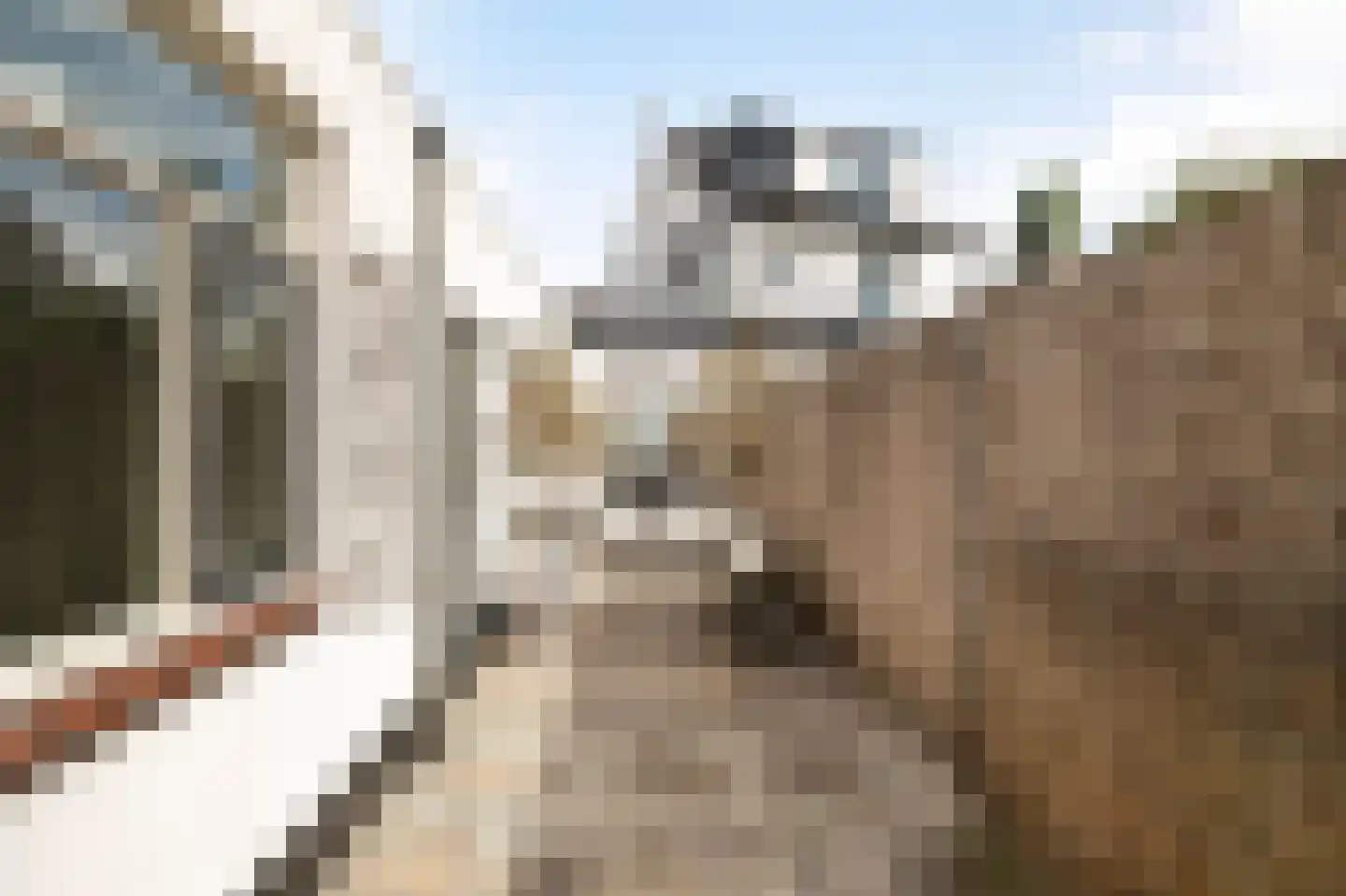 Oude Terheijdenseweg 118 Breda thumbnail 32