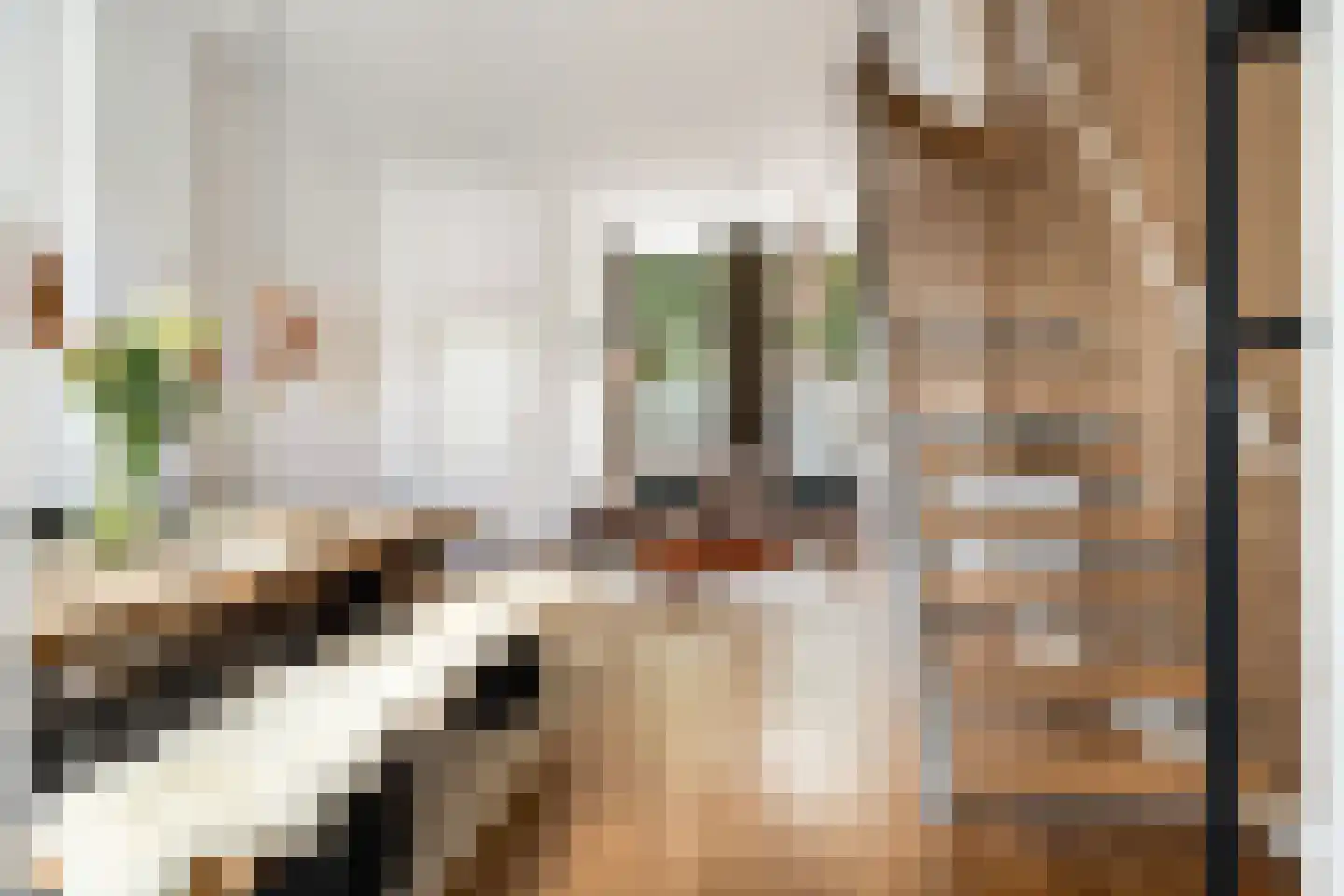 Oude Terheijdenseweg 118 Breda thumbnail 5