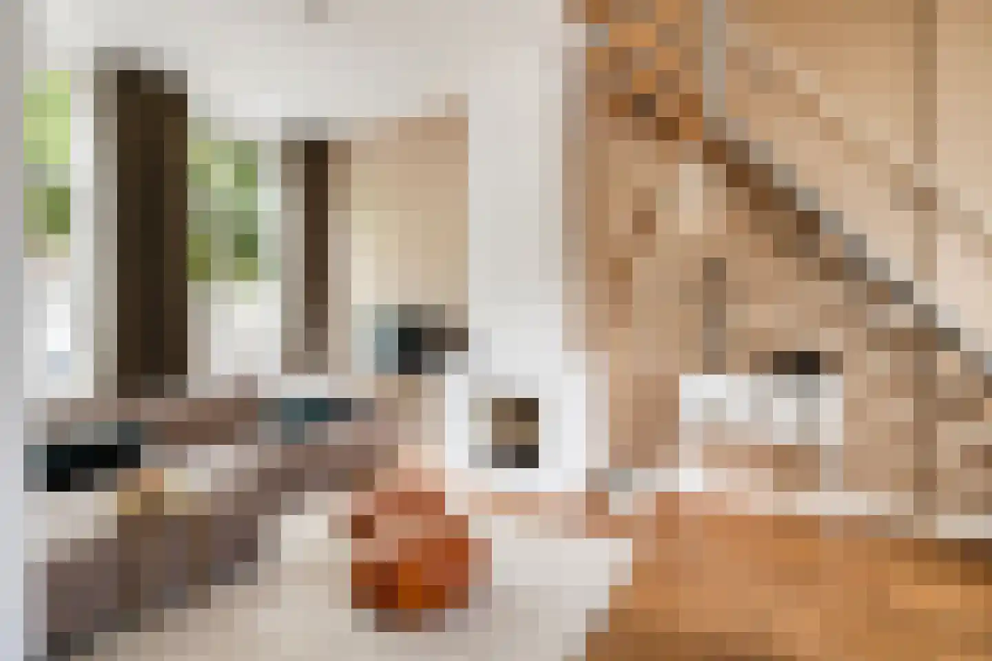 Oude Terheijdenseweg 118 Breda thumbnail 7