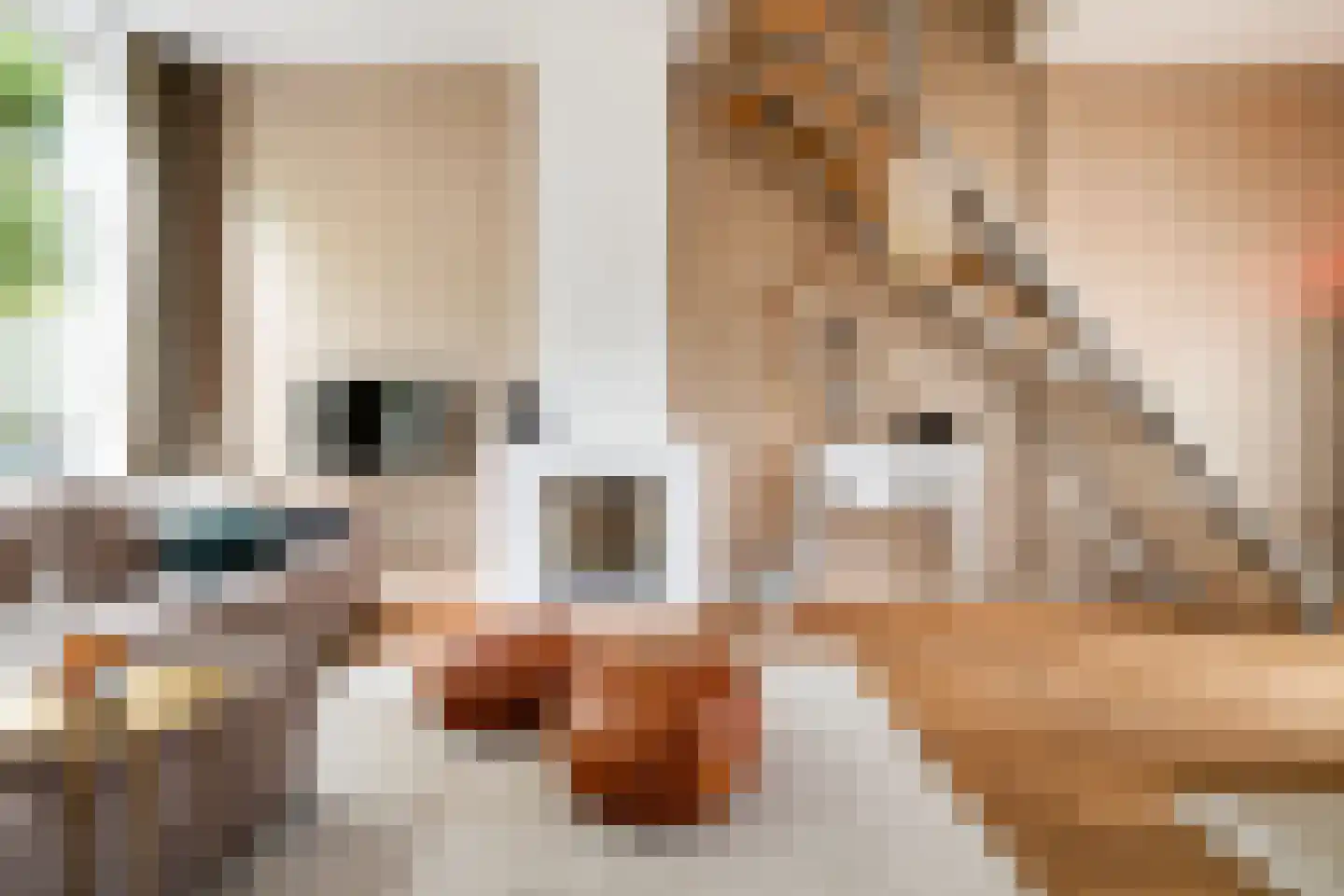 Oude Terheijdenseweg 118 Breda thumbnail 8
