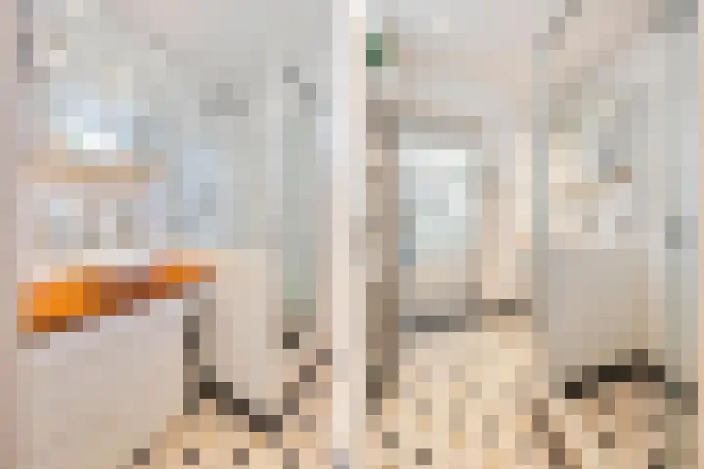 Oude Terheijdenseweg 130 Breda thumbnail 24