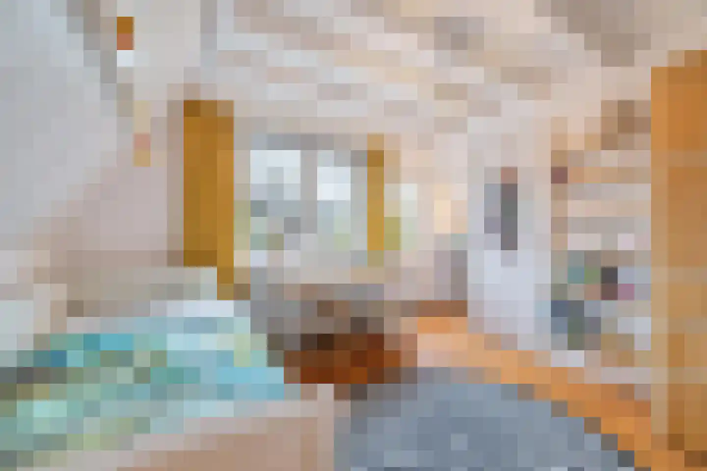 Oude Terheijdenseweg 130 Breda thumbnail 35