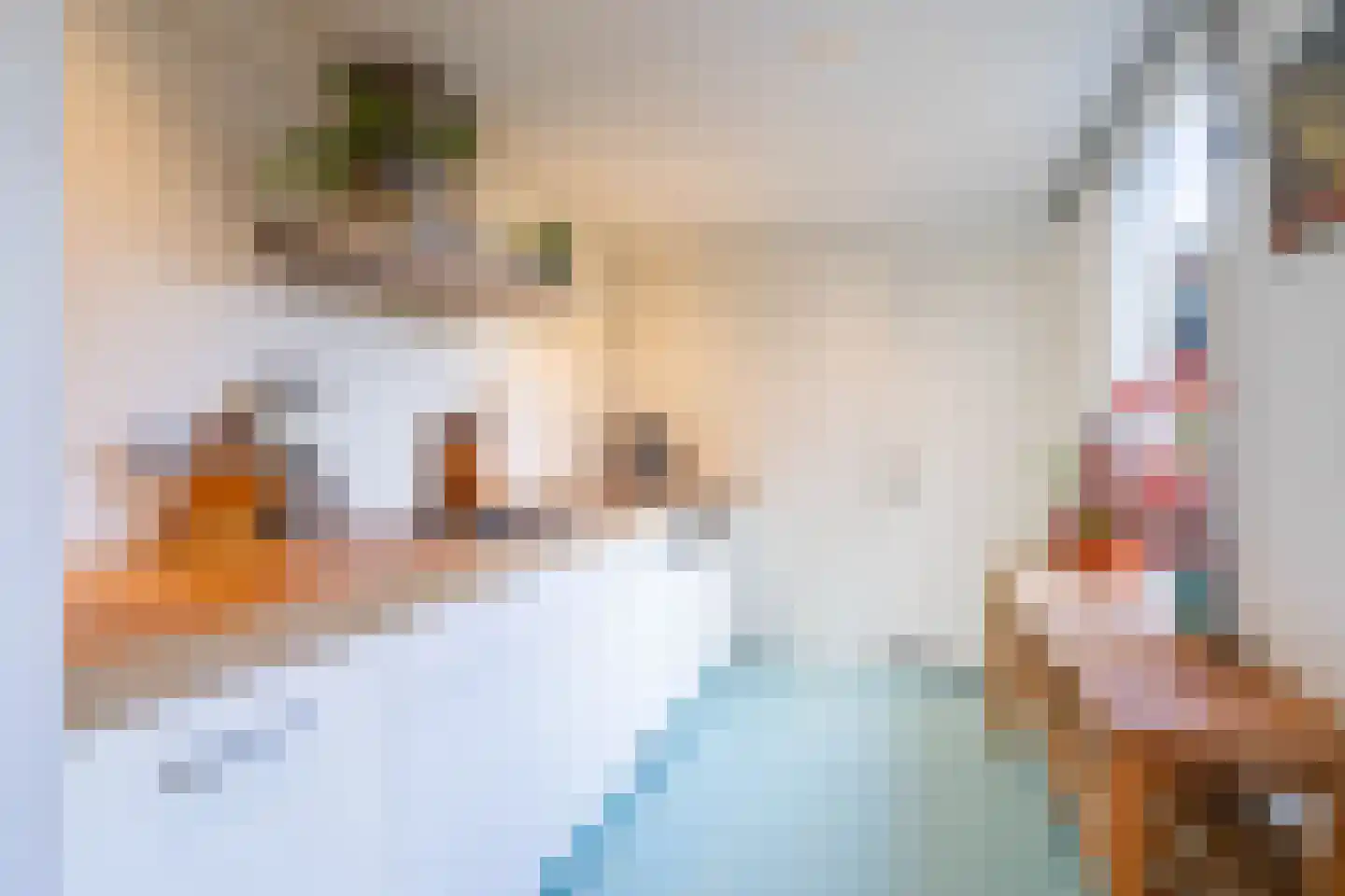 Oude Terheijdenseweg 132 Breda thumbnail 11