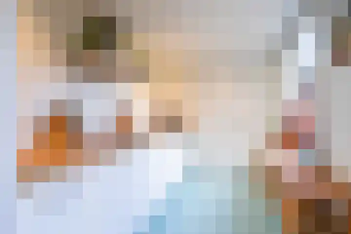 Oude Terheijdenseweg 132 Breda thumbnail 12