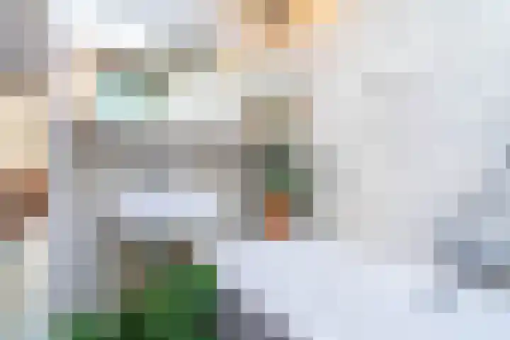 Oude Terheijdenseweg 132 Breda thumbnail 14