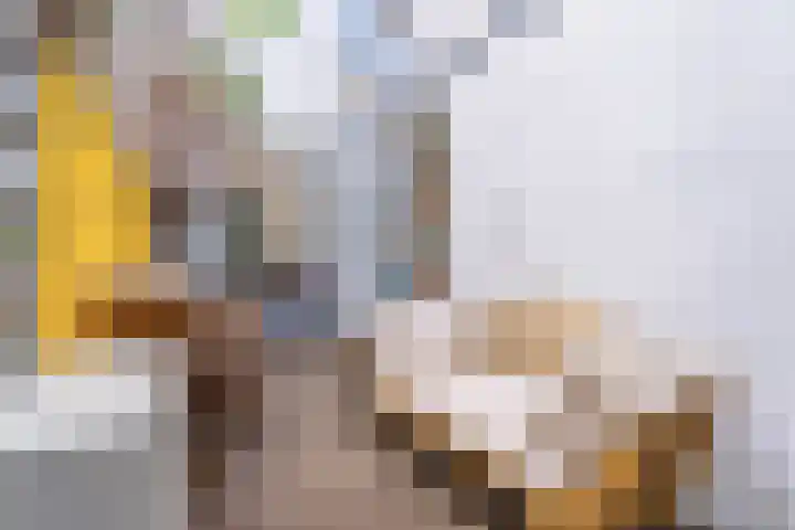 Oude Terheijdenseweg 132 Breda thumbnail 20