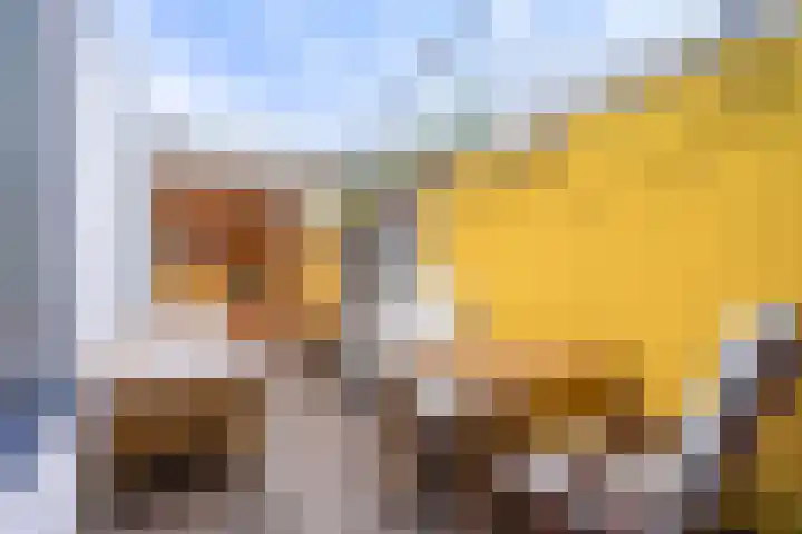 Oude Terheijdenseweg 132 Breda thumbnail 4