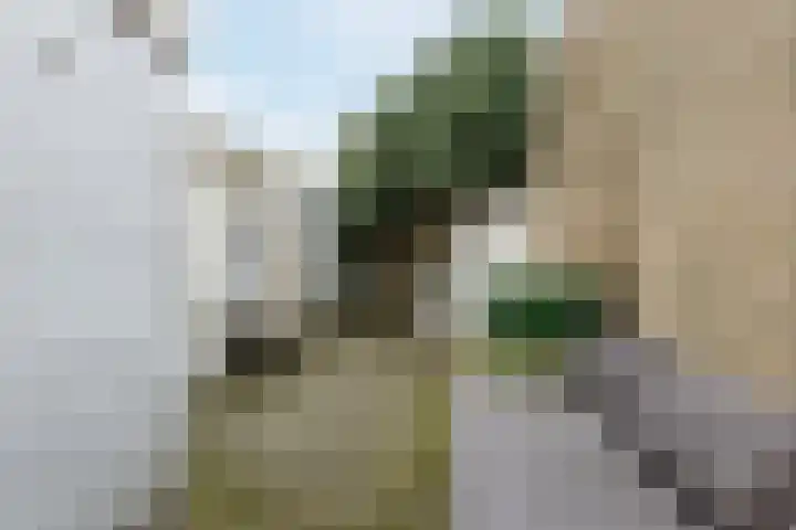 Oude Terheijdenseweg 72 Breda thumbnail 27