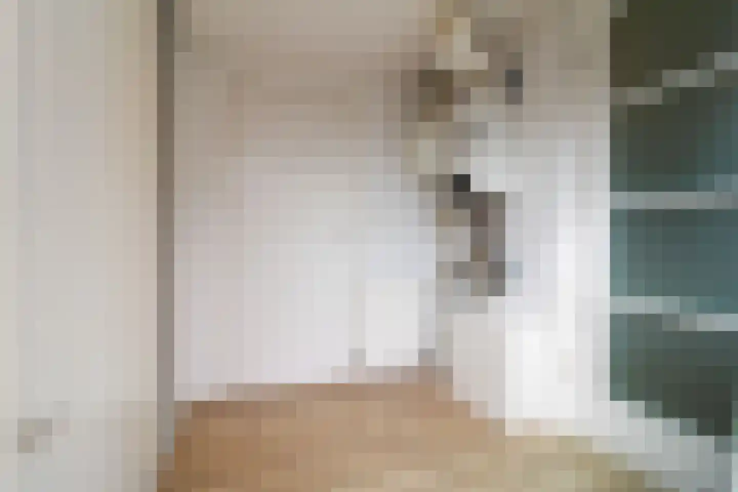 Oude Terpweg 7 Midsland thumbnail 14