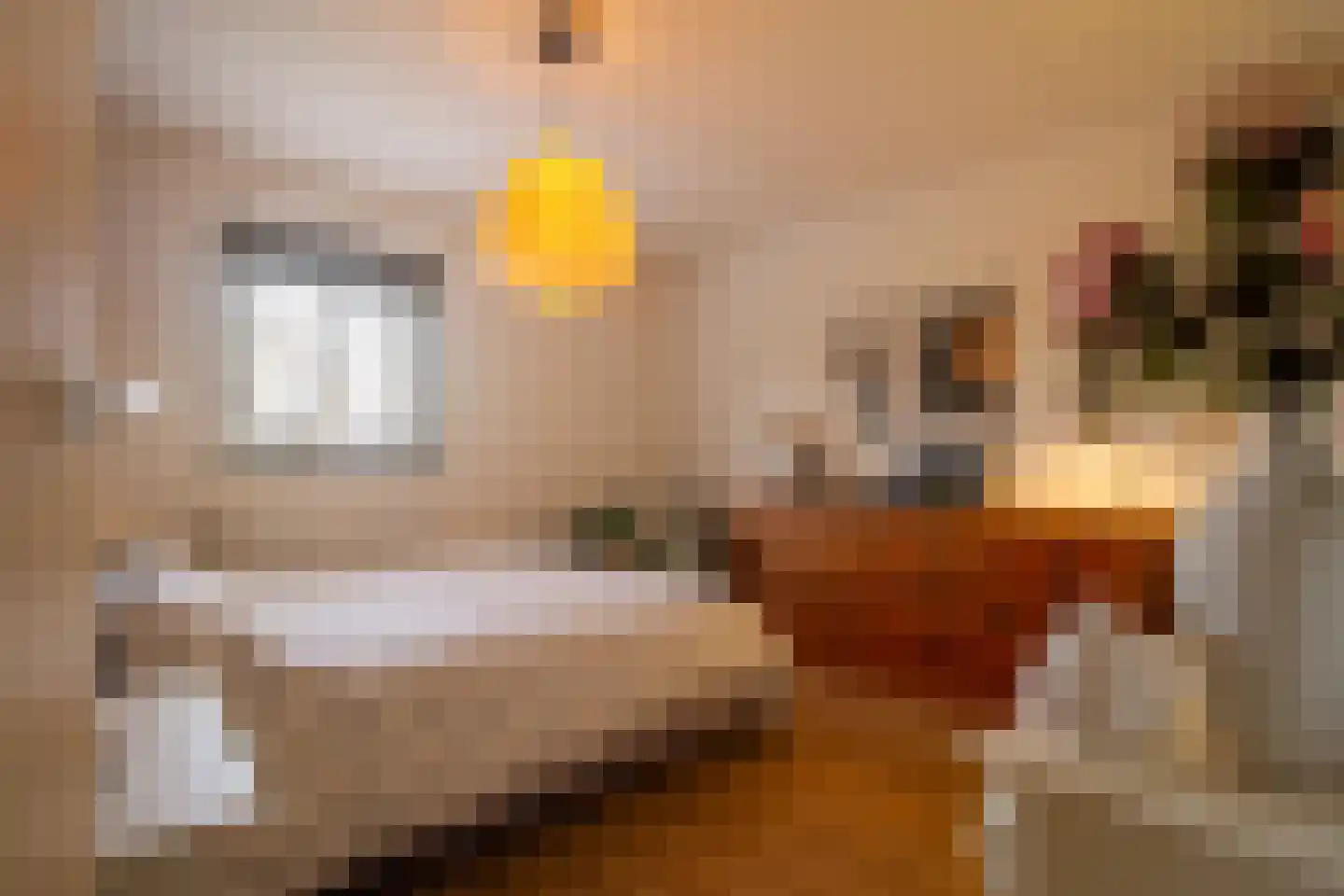 Oude Terpweg 7 Midsland thumbnail 17