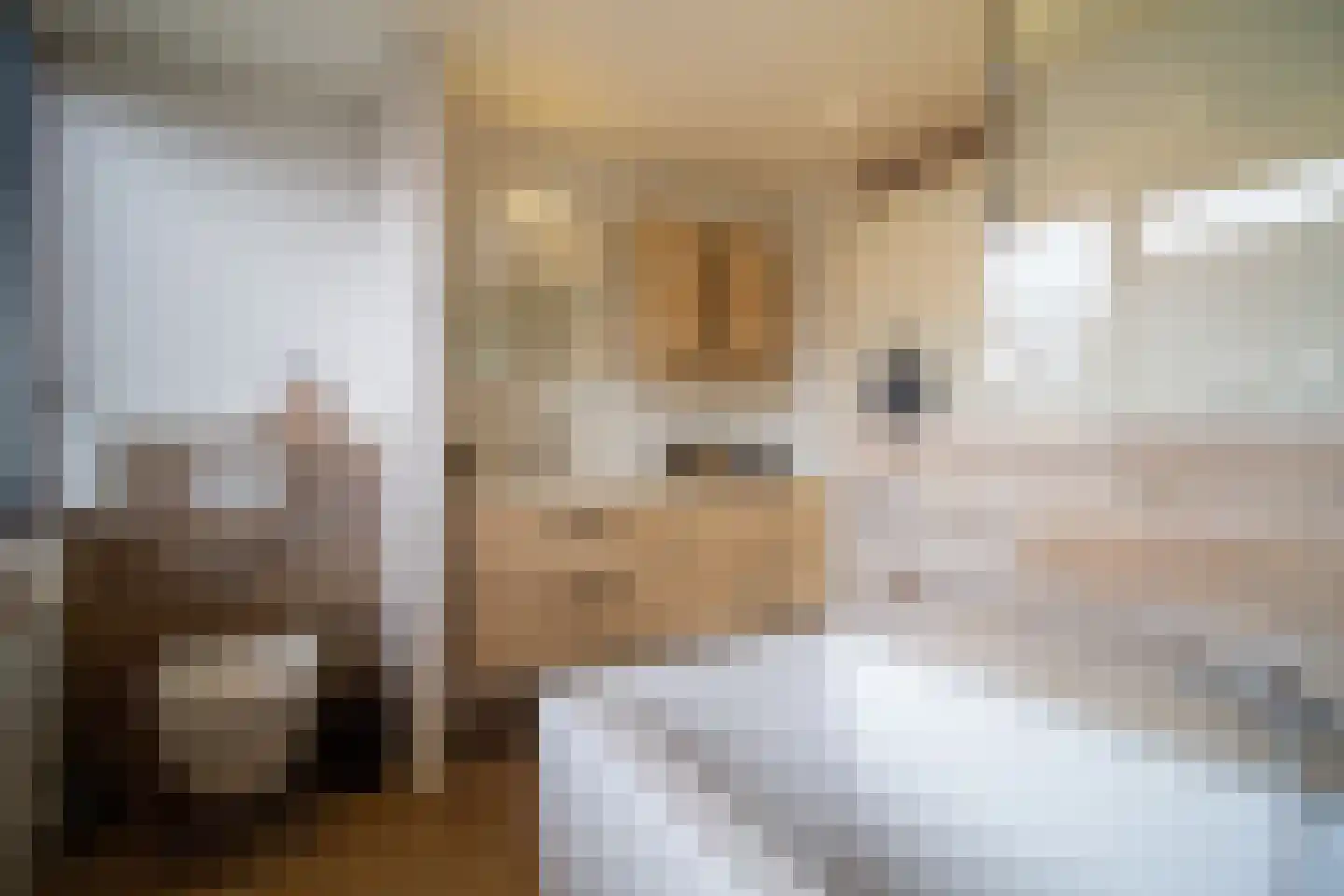 Oude Terpweg 7 Midsland thumbnail 28