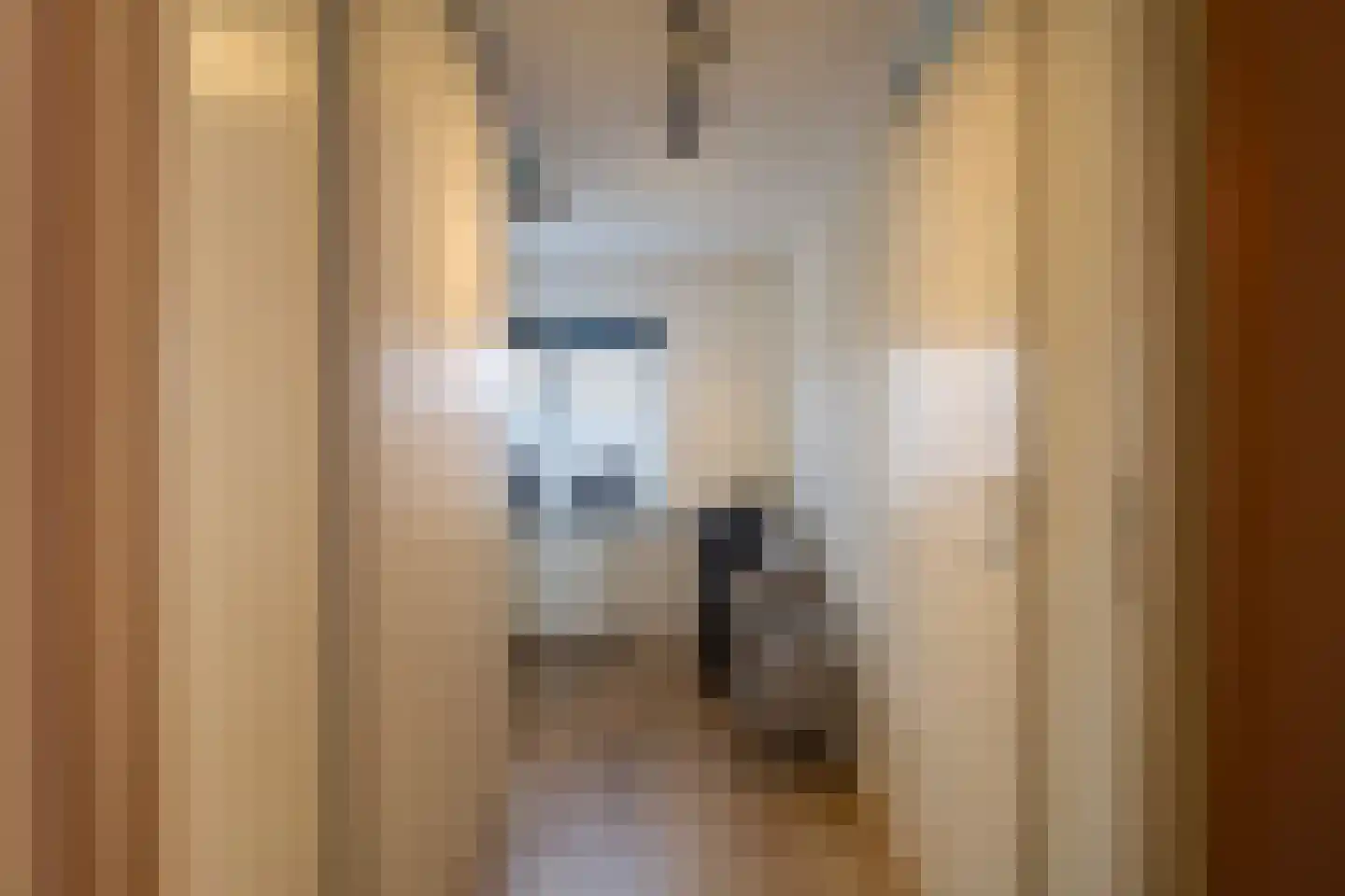 Oude Terpweg 7 Midsland thumbnail 31