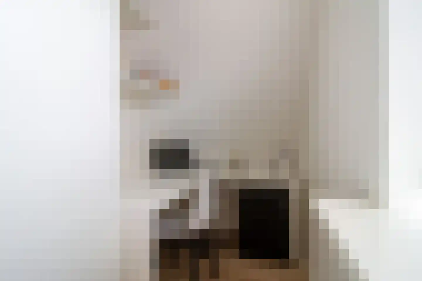 Oude Terpweg 7 Midsland thumbnail 34