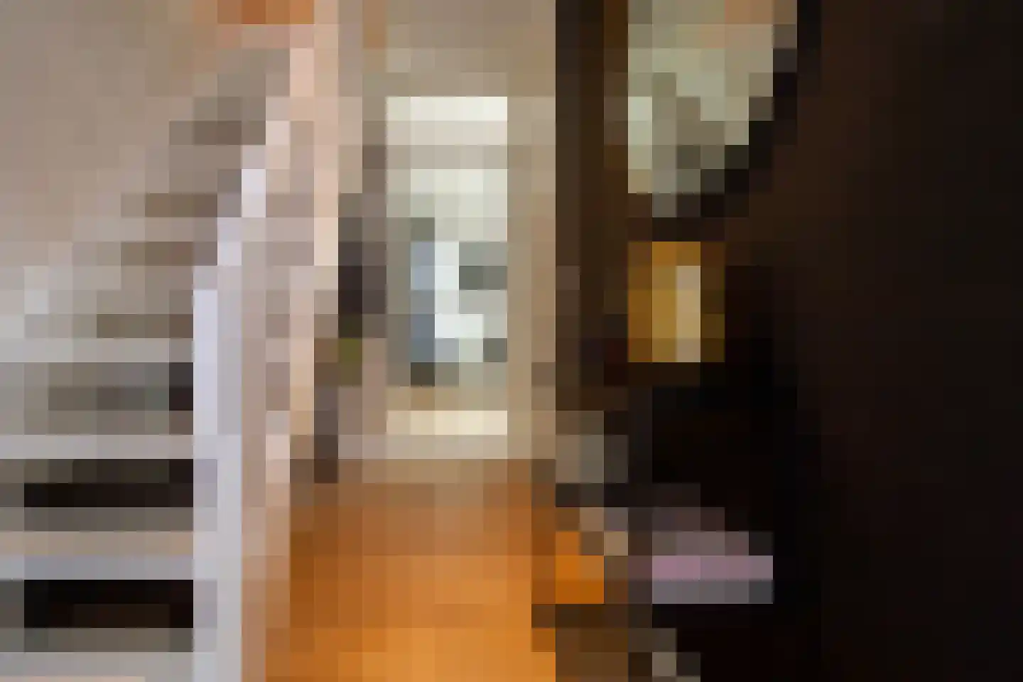 Oude Terpweg 7 Midsland thumbnail 4