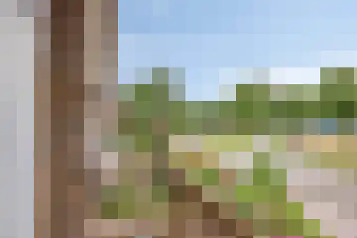 Oude Thornerweg 12 b Heel thumbnail 39