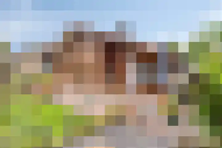 Oude Thornerweg 12 b Heel thumbnail 43