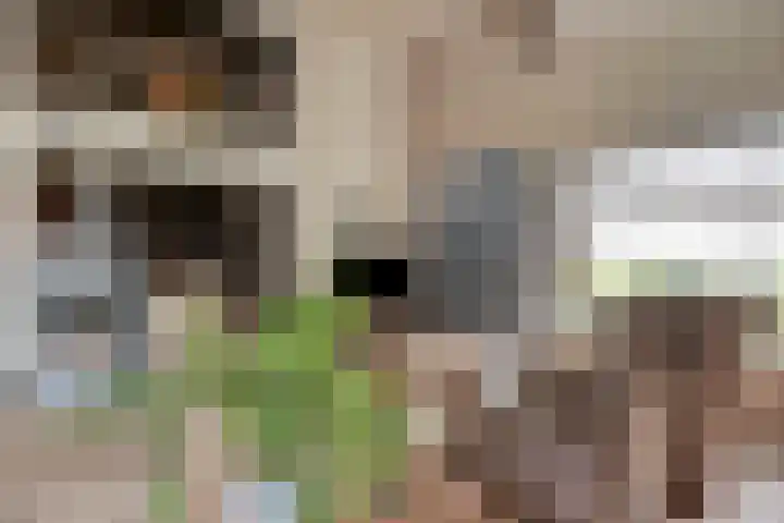 Oude Thornerweg 12 b Heel thumbnail 9
