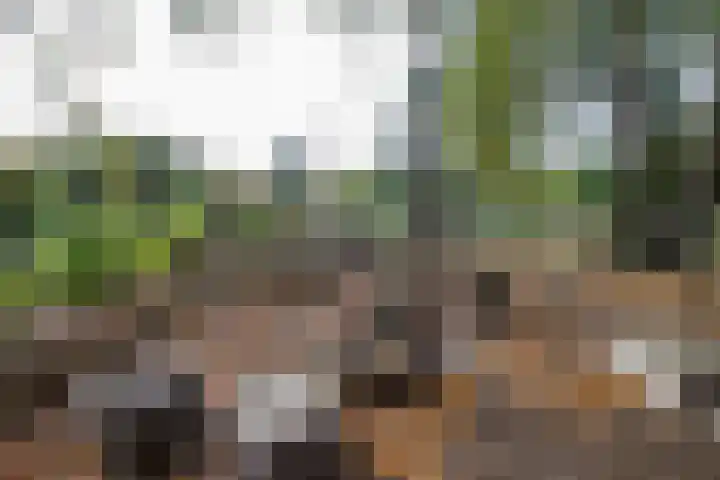 Oude Thornerweg 13 Heel thumbnail 10