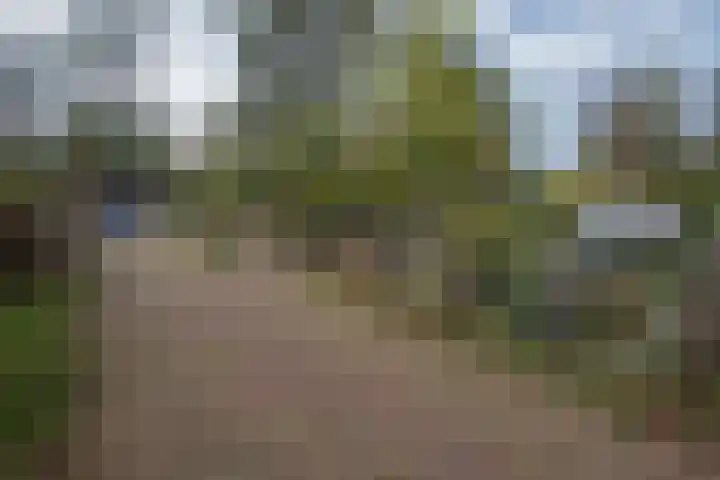 Oude Thornerweg 13 Heel thumbnail 11