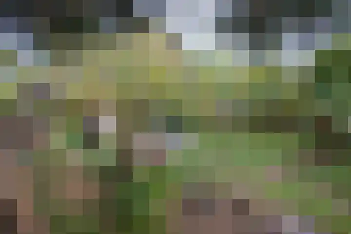 Oude Thornerweg 13 Heel thumbnail 13
