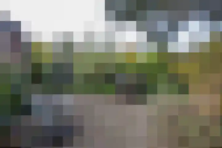 Oude Thornerweg 13 Heel thumbnail 14