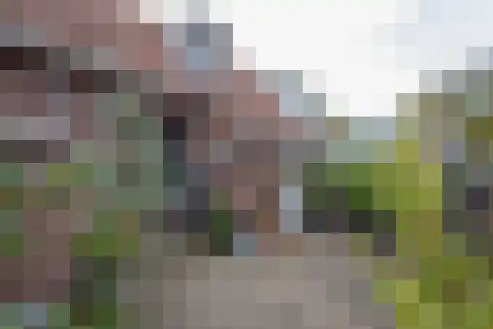 Oude Thornerweg 13 Heel thumbnail 19