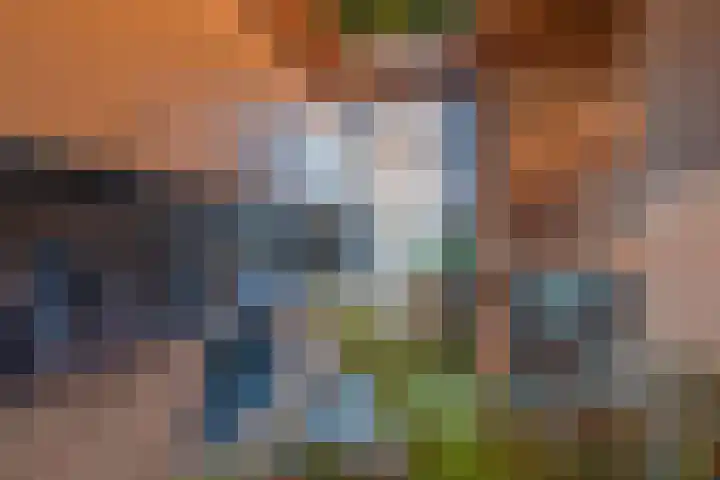 Oude Thornerweg 13 Heel thumbnail 22