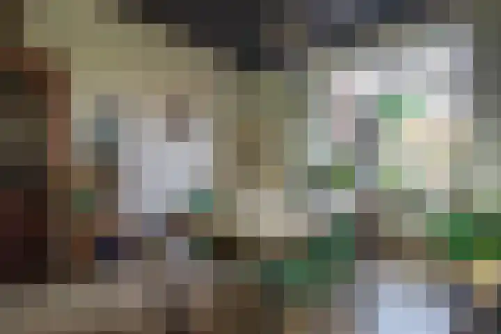 Oude Thornerweg 13 Heel thumbnail 24