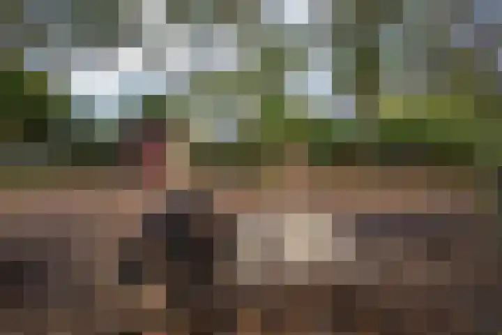 Oude Thornerweg 13 Heel thumbnail 4