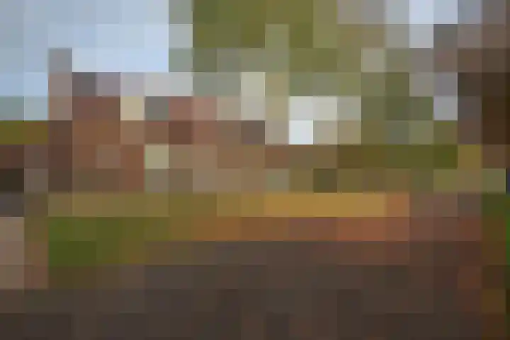 Oude Thornerweg 13 Heel thumbnail 43