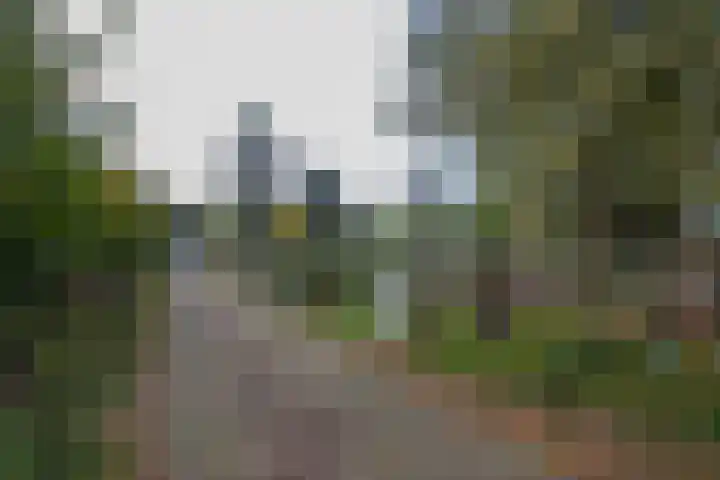 Oude Thornerweg 13 Heel thumbnail 5