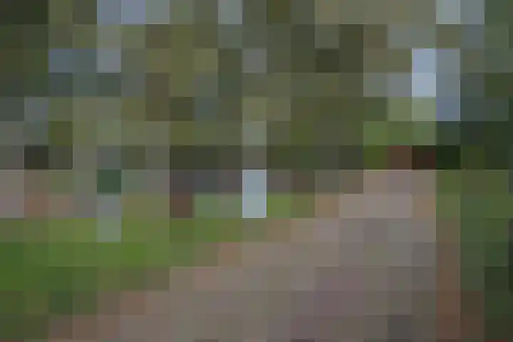 Oude Thornerweg 13 Heel thumbnail 6