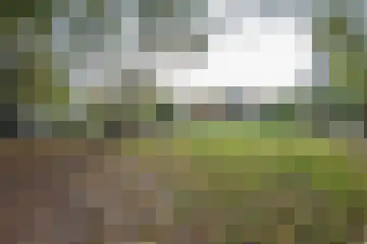 Oude Thornerweg 13 Heel thumbnail 7