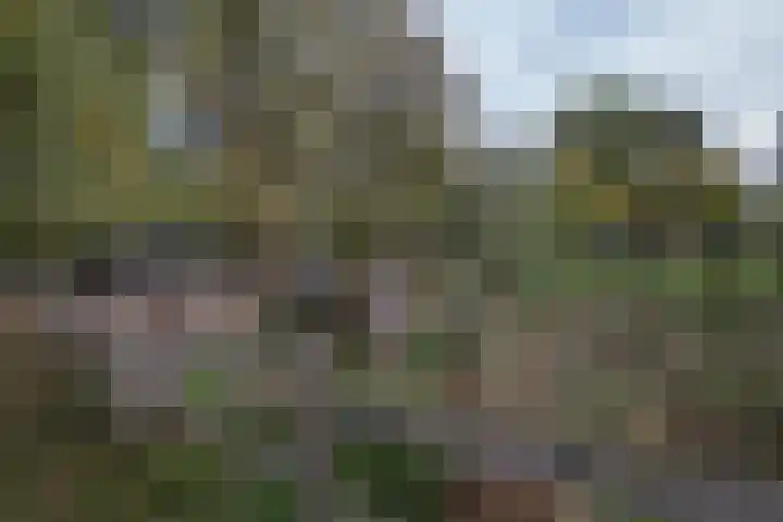 Oude Thornerweg 13 Heel thumbnail 8