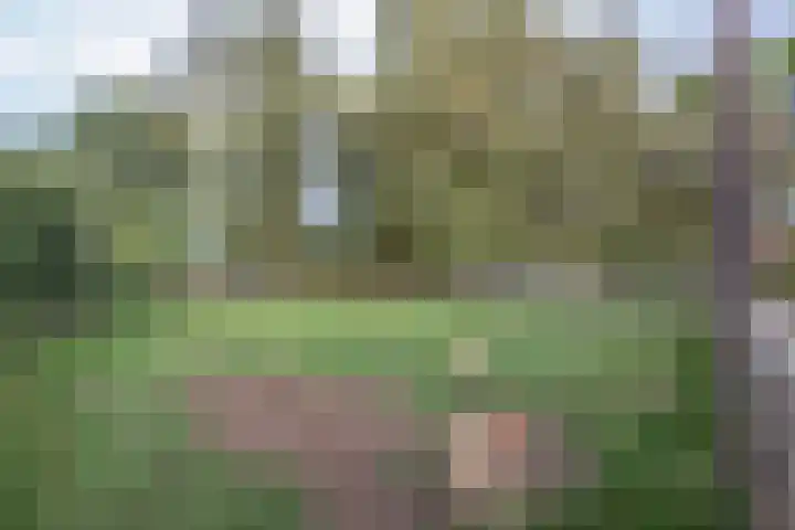 Oude Thornerweg 13 Heel thumbnail 9