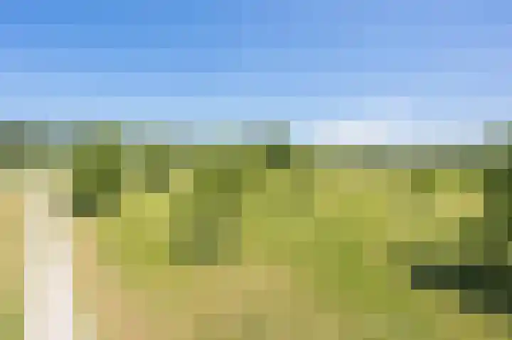 Oude Tielseweg 12 Buren thumbnail 10