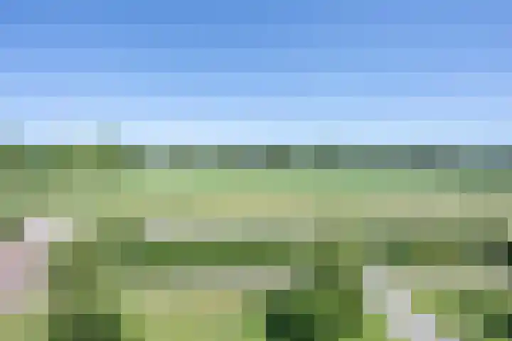 Oude Tielseweg 12 Buren thumbnail 15