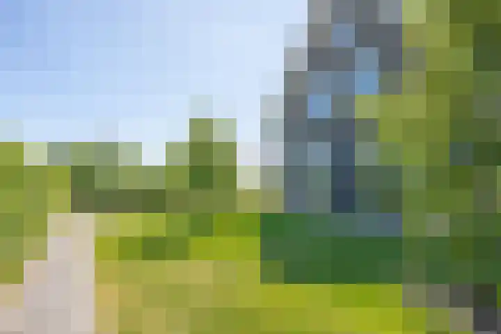 Oude Tielseweg 12 Buren thumbnail 16