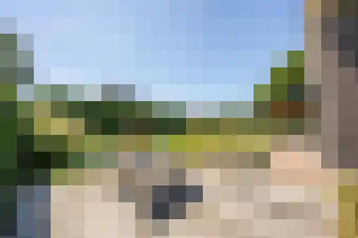 Oude Tielseweg 12 Buren thumbnail 24