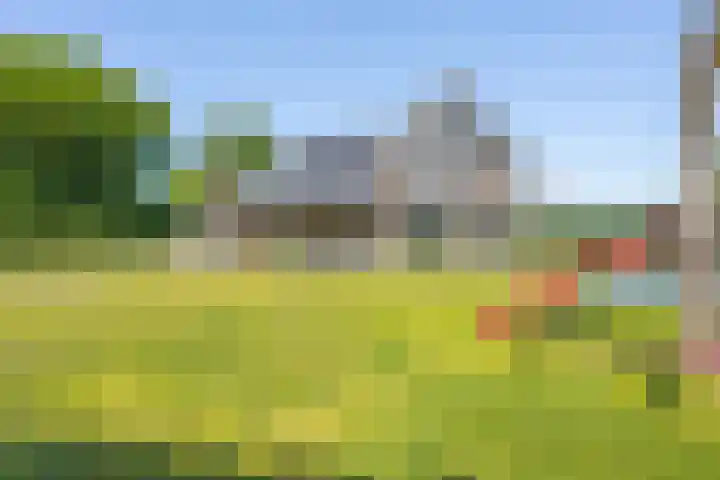 Oude Tielseweg 12 Buren thumbnail 26